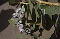 35 MAK_6641